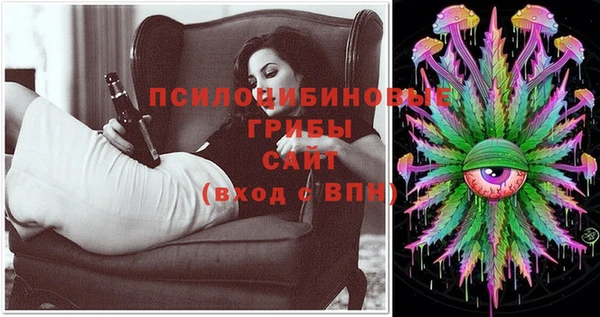 крисы Вязьма