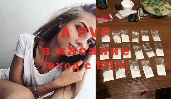 крисы Вязьма