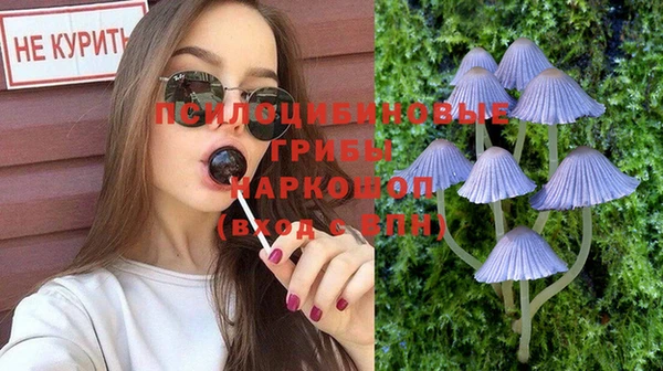 крисы Вязьма