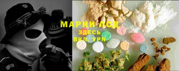 крисы Вязьма